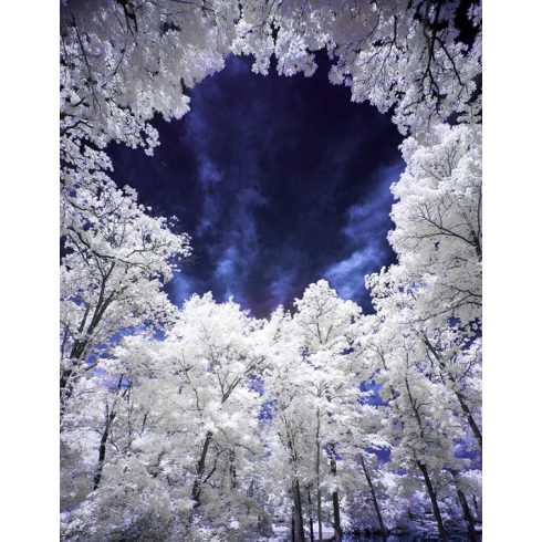 HOYA R72 Infravörös szűrő 82mm